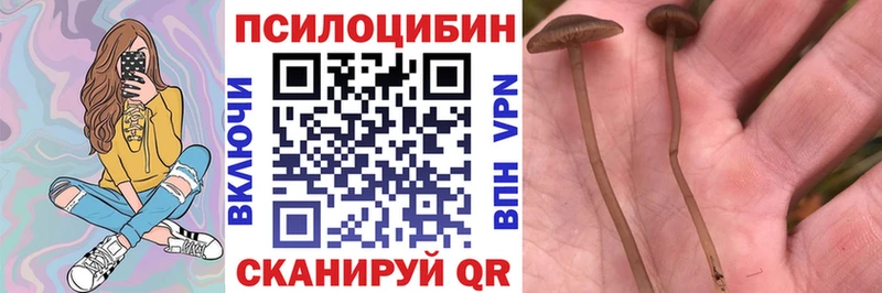 Псилоцибиновые грибы мухоморы Гусь-Хрустальный