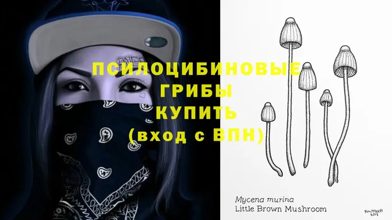 Псилоцибиновые грибы MAGIC MUSHROOMS  что такое наркотик  MEGA tor  Гусь-Хрустальный 