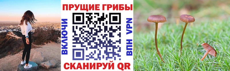 Псилоцибиновые грибы прущие грибы  mega ONION  Гусь-Хрустальный 