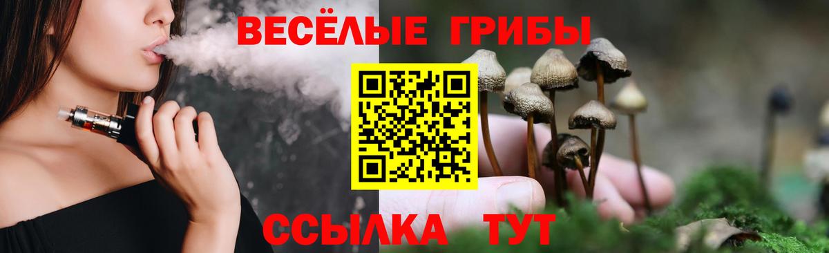 Галлюциногенные грибы Cubensis Гусь-Хрустальный
